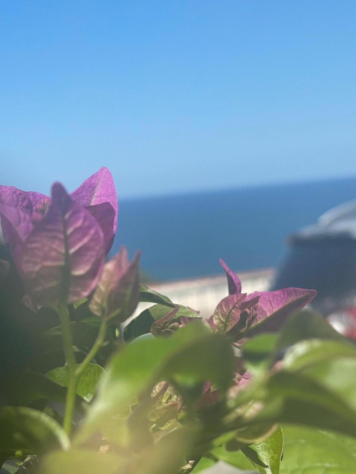 Casa Sundaville ペスキチ エクステリア 写真