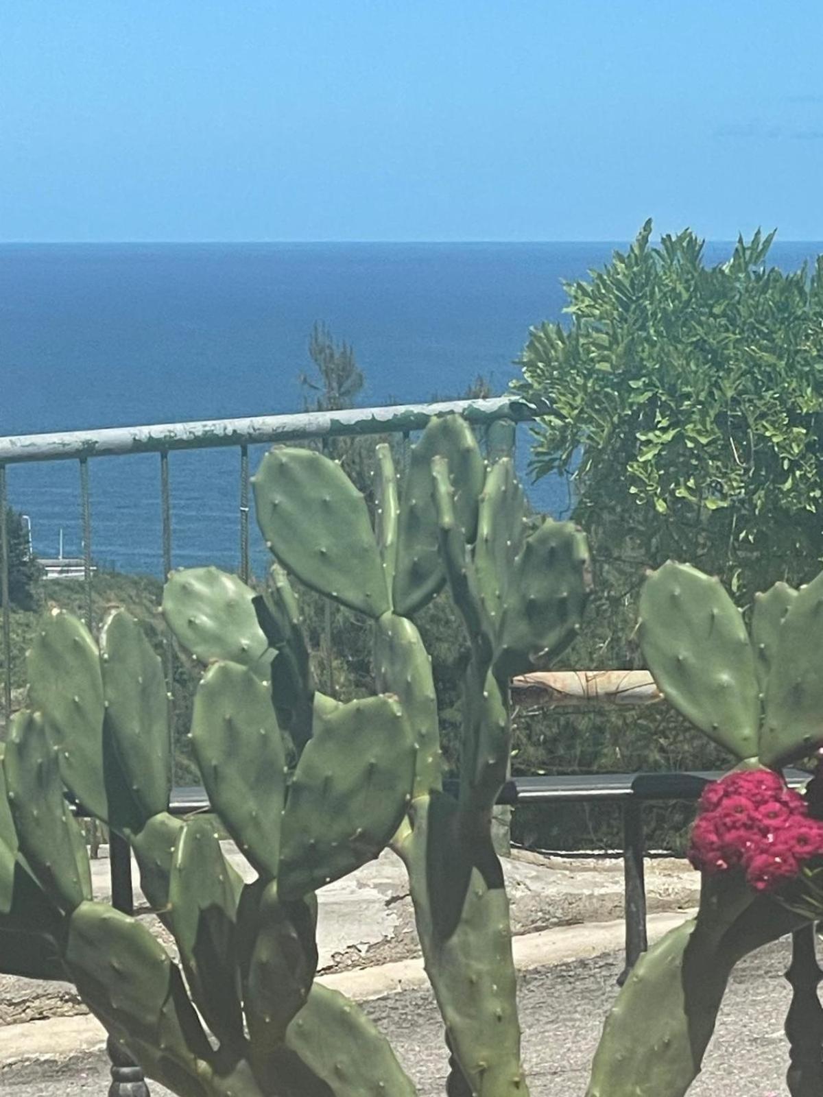 Casa Sundaville ペスキチ エクステリア 写真