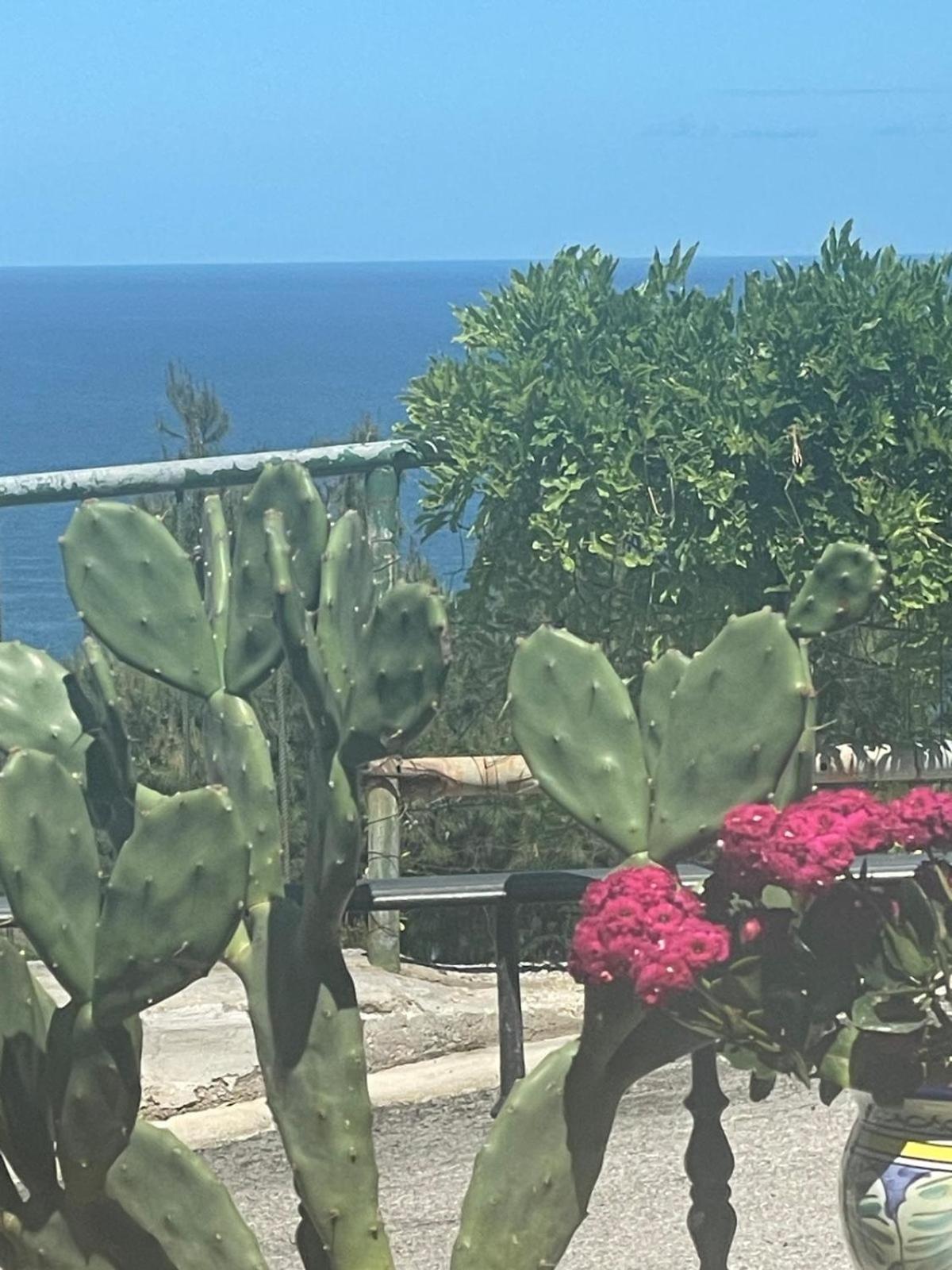 Casa Sundaville ペスキチ エクステリア 写真
